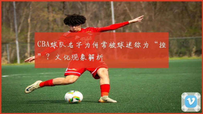 CBA球队名字为何常被球迷称为“挫”？文化现象解析