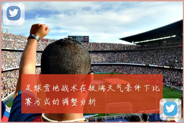 足球雪地战术在极端天气条件下比赛方式的调整分析