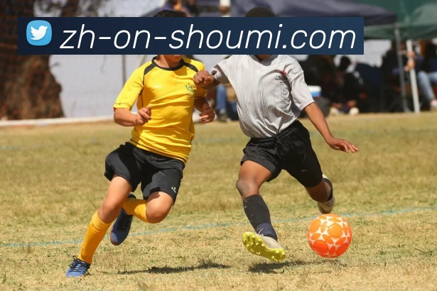 收米体育直播APP 封面图